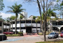 Como Interpretar Textos de Português para a Banca de Arujá Concurso Câmara Arujá SP